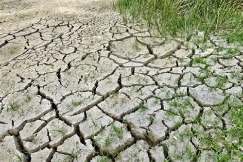 Danni alle produzioni agricole dovute al periodo di siccità anno 2023 - Ricognizione danni aziendali