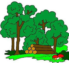 Avviso taglio rami, alberi e piante pericolose lungo strade comunali e vicinali