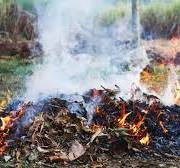 Deroga temporanea alle limitazioni relative alla combustione all'aperto dei residui vegetali mediante attuazione della sperimentazione regionale approvata con deliberazione del Consiglio Regionale n. 163-17101 del 21 luglio 2026 e determinazione dirigenziale Regione Piemonte n. 602 del 12 agosto 2026